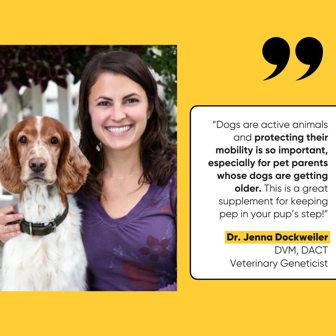 Embark Joint - Hip & Joint Support for Dogs - Vet-Backed Chews for Mobility & Comfort - Natural Ingredients & Bacon Flavor Supplements