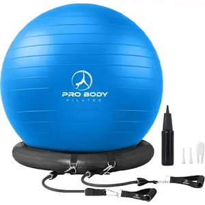 Pilates Yoga Ball Chair, Exercise Ball Chair with Base or Stand for Home Office Desk Sitting or Workout, 65cm Antiburst Balance & Stability Ball Seat, Large Gym Ball for Back, Abs