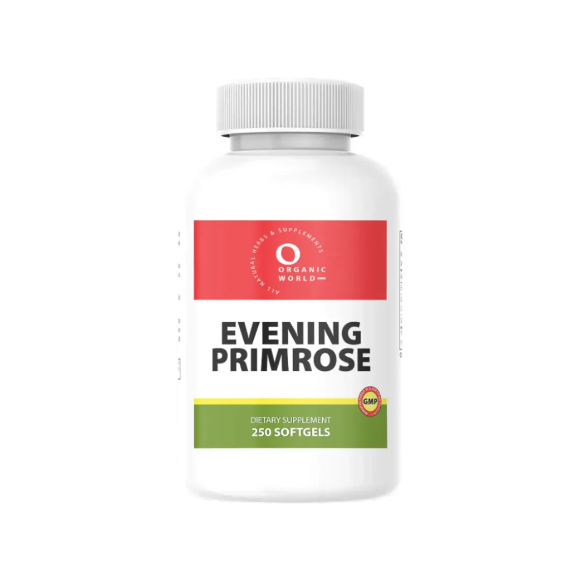 EVENING PRIMROSE