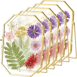 5 count 5 x 7 Inches Glass Pressed Flower Frame Floating Picture Photo Octagon Frame, Double Tabletop Artwork Flower   Display for  Office Wedding Gifts DIY Decor()