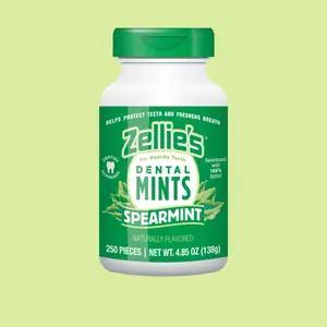 SPEARMINT Xylitol Dental Mints