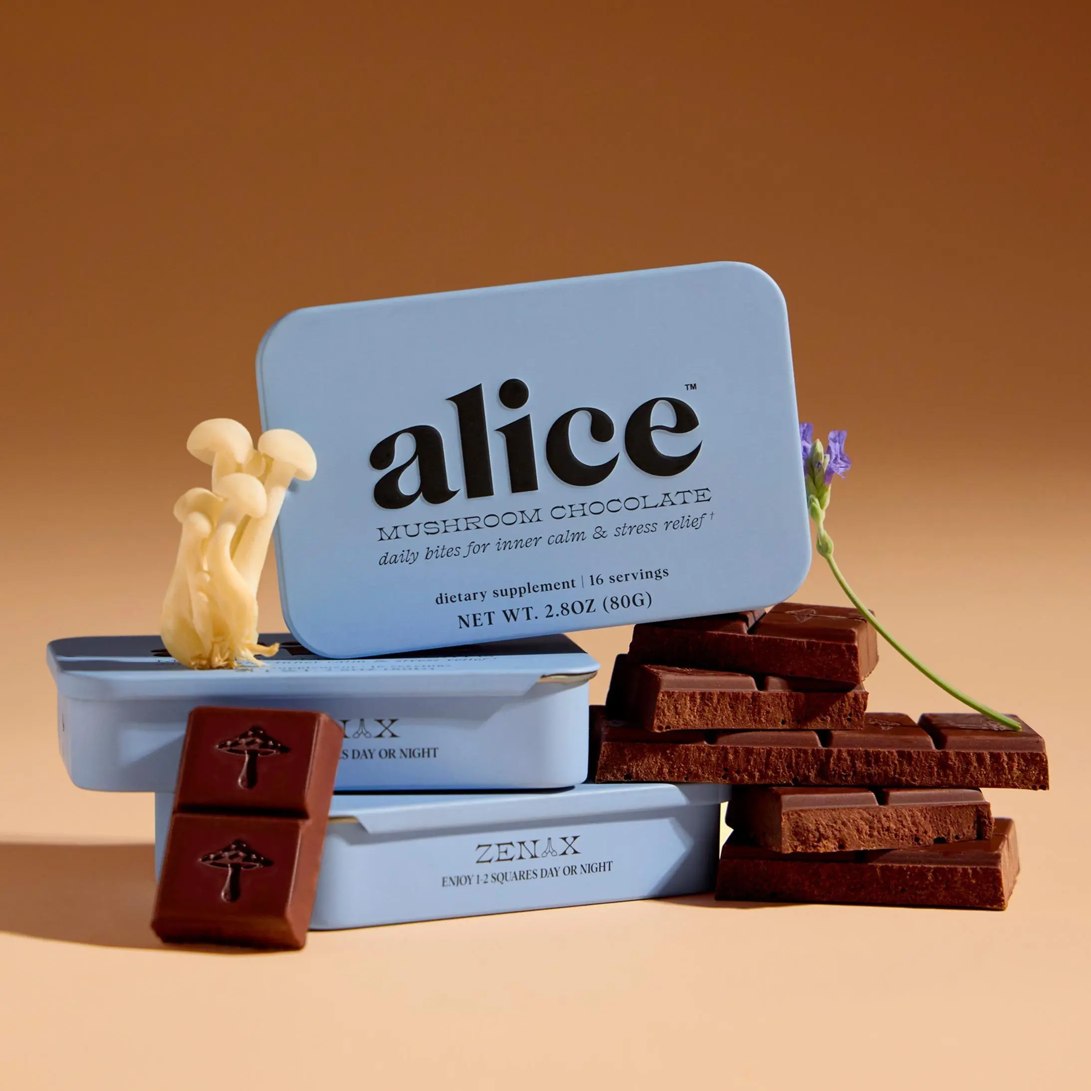 Zen-X Functional Mushroom Chocolates Zen-X Functional Mushroom Chocolates
