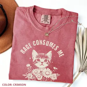 Comfort Colors Rage Consumes Me Shirt, Cute Cat Meme T-Shirt, Cute T-Shirt, Trendy Shirts, Women Favorite Top