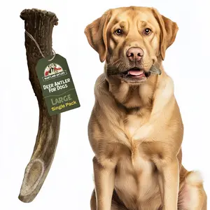 Heartland Antlers Large Deer Antler Dog Chew | 6" Long | 4–6 oz | For Dogs 45–65 lbs | Natural, Durable & USA Sourced