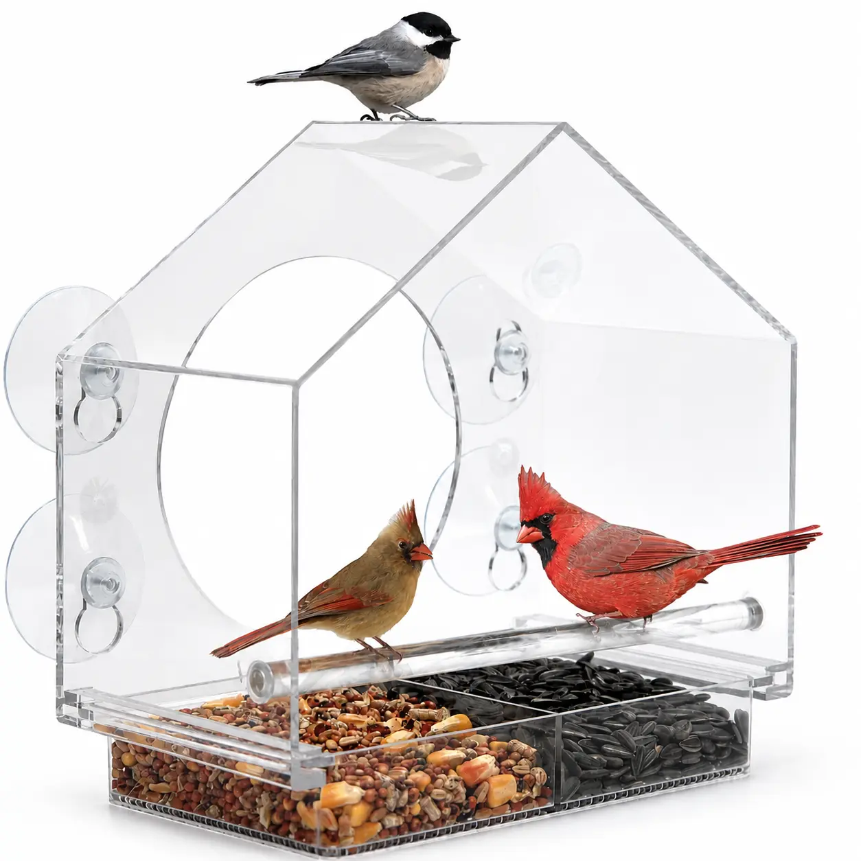 Window Bird Feeder Clear Acrylic With 4 Strong Suction Cups, Removable Sliding Tray, Easy To Clean, Weatherproof Outdoor Bird Feeder For Close Up Bird Watching, Great Gift For Bird Lovers, Moms, Seniors And Nature Fans | Nature Anywhere