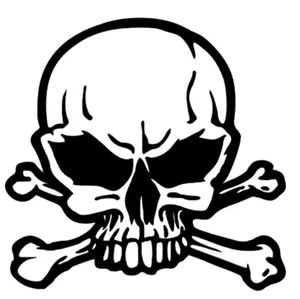 Skull Car Decal Skull Car Decal