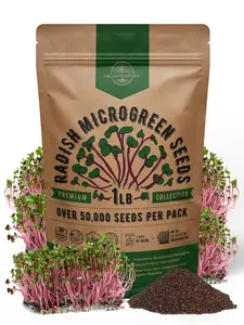 Organo Republic Radish Sprouting & Microgreens Seeds - Non-GMO, Heirloom Sprout Seeds Kit, 1lb Resealable Bag for & Growing Microgreens in Soil, Coconut Coir, Aerogarden & Hydroponic System.