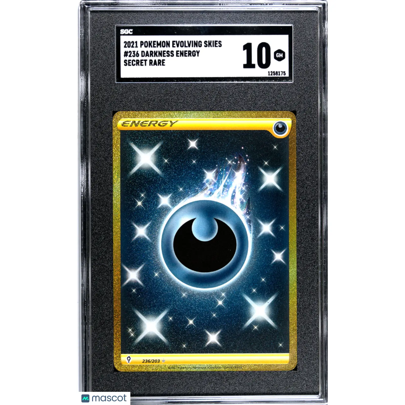 SGC 2021 Pokémon TCG Darkness Energy #236 10