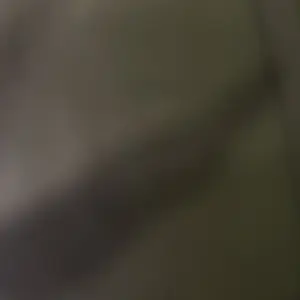 review image 8