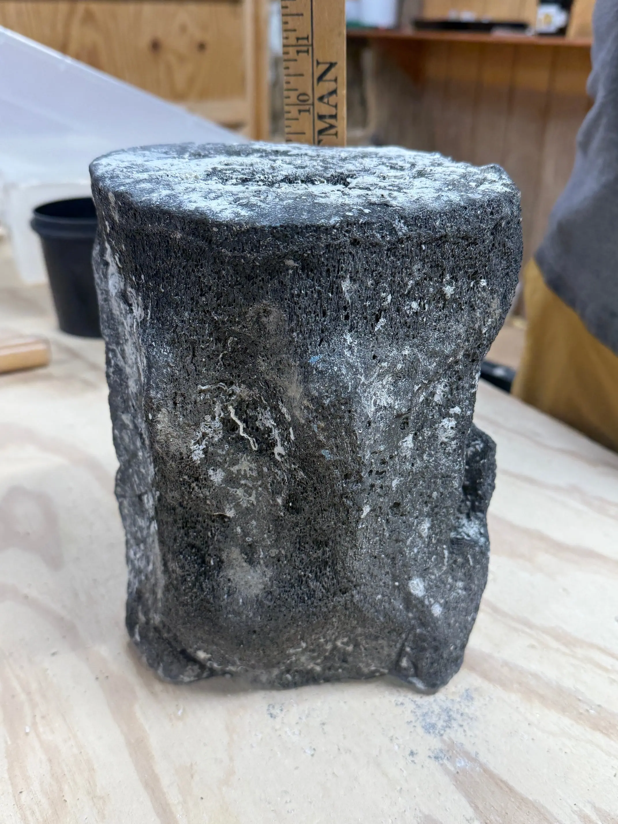 AUTHENTIC FOSSILIZED WHALE FOSSIL 10 POUNDS NATURAL CRYSTAL AND FOSSIL COLLECTION