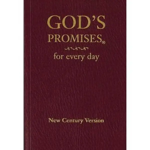 USED-God's Promises for Every Day by Countryman, Jack (Paperback)