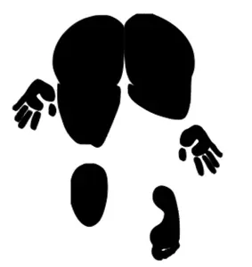 Backside Decal, Permanent Vinyl Decal