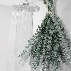12 PCS Dried Eucalyptus Bundle for Shower - 17" Large Preserved Stems, Real Leaves for Hanging, Home Bathroom Decor Decorative Fruit