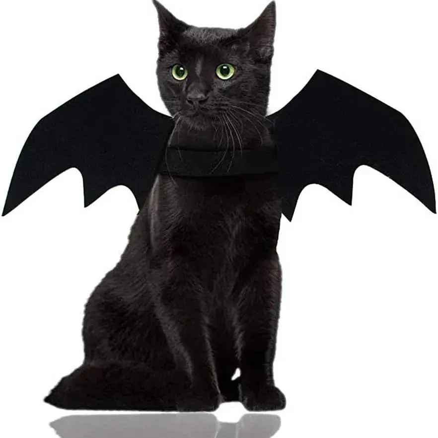 Batwings™ Halloween Costume for Cats & Dogs