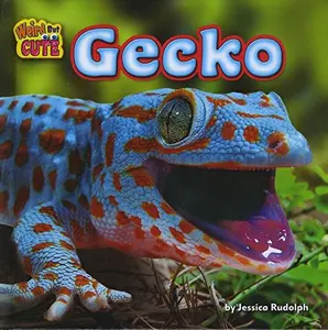 USED-Gecko by Rudolph, Jessica (Library Binding)
