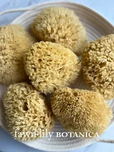 PREMIUM "DEEP SEA" WOOL BATH SEA SPONGES, NATURAL + SUSTAINABLE