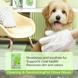 HAPPYCODE Pet Glove Wipes for Dogs & Cats - Hypoallergenic Disposable No-Rinse Wipes - 10 Pieces - Essential for Pet Owners - Cleaning & Deodorizing - Safe & Hygiene - Perfect Gift Grooming Paws