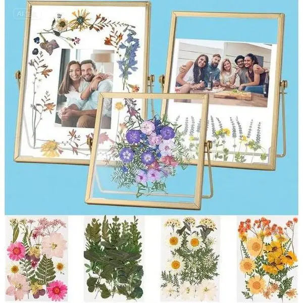 Double Glass Pressed Flower Frame Set - 68 Pcs Dried Flowers & Tweezer Included - Elegant Display for Handicrafts, Photos, Keepsakes - Reusable DIY Art Preservation Kit - Perfect for Home Decor & Gifts Minimalist Wedding