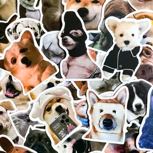 Wholesome Memes 5 Random Cute Pet Stickers for Animal Lovers