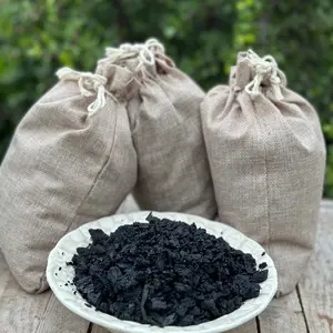 PURE Biochar Precharged & Ready for Use 1 Gallon 1 Gallon