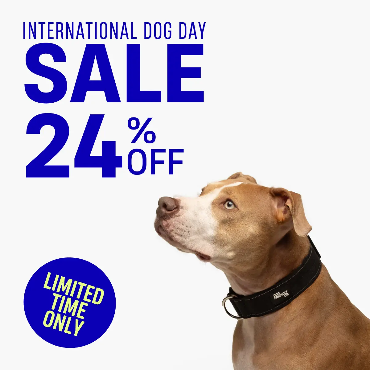 Tactical Dog Collar - Heavy-Duty Quick Release Buckle, Plain, Comfortable Wear, Custom-Printed, Reflective Night Visibility Design