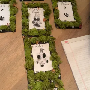 Paw Print Stamp, 1/4/8 Counts Footprint Stamp Pad with 1 Ink Pad & 2 Imprint Cards, Handprint and Footprint Stamp for Baby Shower #GLOBAL PICKS