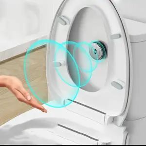 Self Flushing Toilet button