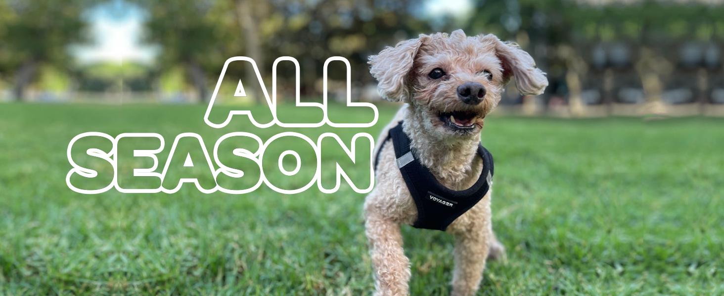 Voyager Step-In Air Dog Harness No Pull - Breathable All Weather Mesh, Lightweight Adjustable Vest for Small Medium Dogs & Cats - Reflective, Triple Security, Easy Step-In Design by Best Pet Supplies