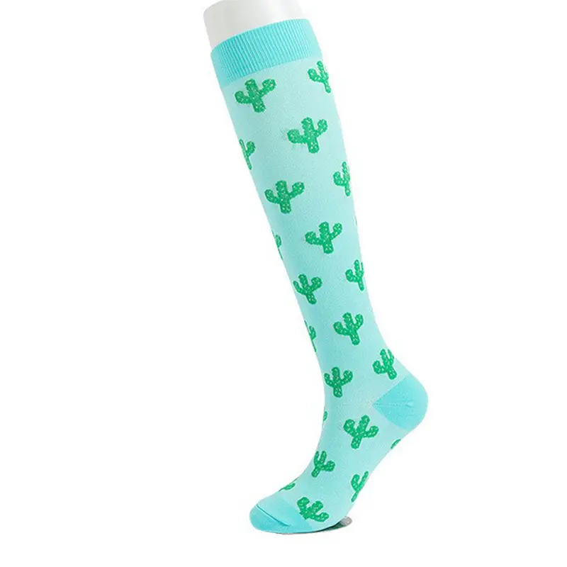 Green background cactus