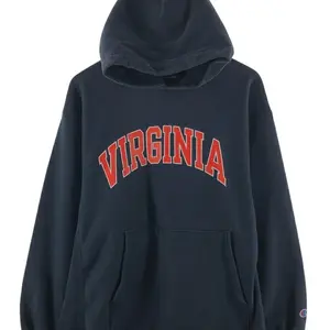 Y2K Vintage Virginia College Unisex Pullover Hoodie Size S-3XL