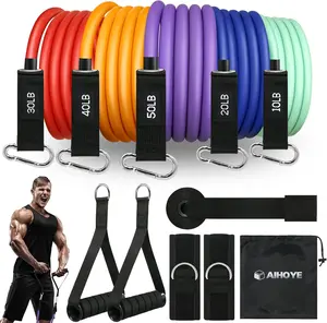 Resistance Bands for Working Out, Exercise Bands with Handles, Stretch Bands for Exercise, Workout Bands with Door Anchors for Physical  & Strength