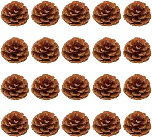 20 PCS Artificial Pine Cones – Rustic Mini 2–3cm Pinecones for Christmas Tree, Wreath, Centerpiece & DIY Holiday Crafts Decorations
