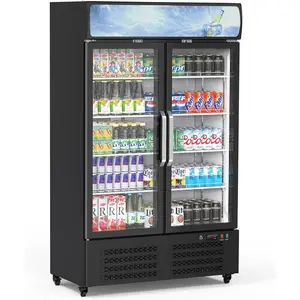 GARVEE 26.2 Cu. Ft. Upright Commercial Display Fridge, Double Glass Doors