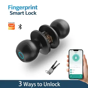 3-in-1 Fingerprint Smart Door Knob, Keyless Entry Device with Bluetooth Control, Local Data Storage & Auto-Lock, Electronic Security Solution for Home, Garage (Ideal Gift for Home Improvement Enthusiasts)