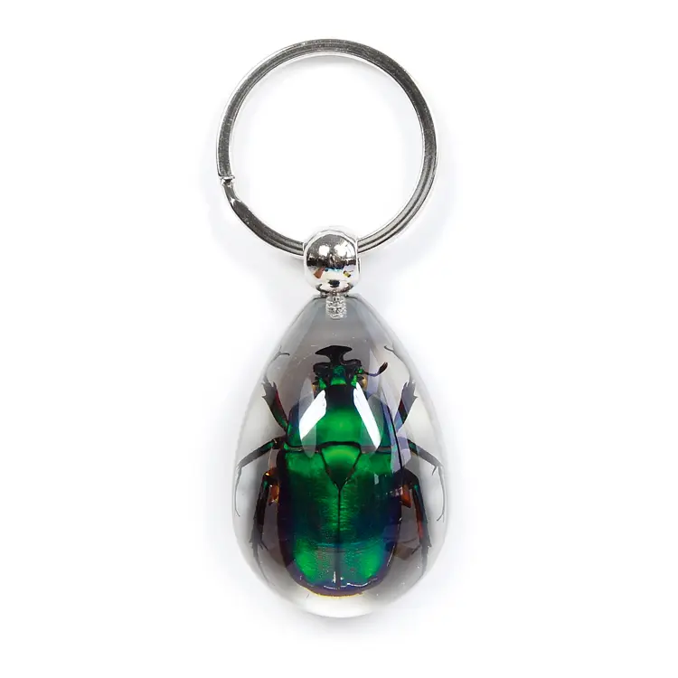 Clear Pendant Keychain with Real Green Rose Chafer Beetle