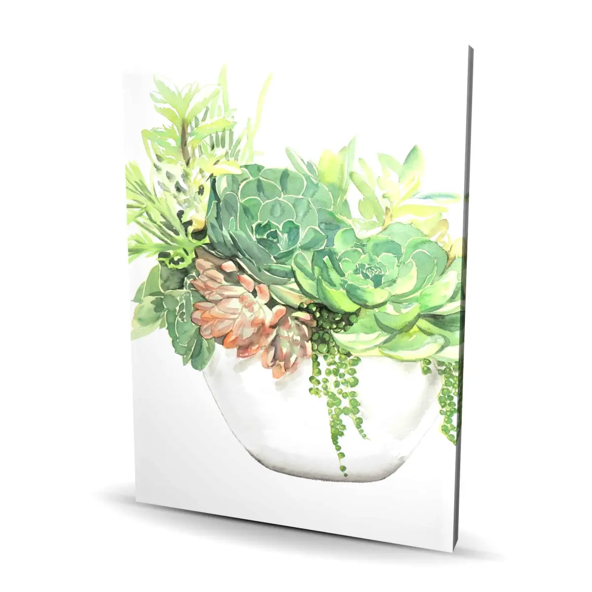 Begin Home Decor C1RC3648U0FZ0I 36 x 48 in. Succulent Assortment in Pot - Floral Cactus Canvas Decor