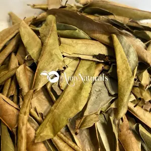 Fèy Korosol ki soti nan tè ayiti