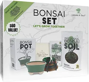 Complete Bonsai Set | GREEN - Soil, Fertilizer, Green Pot and Wire Kit