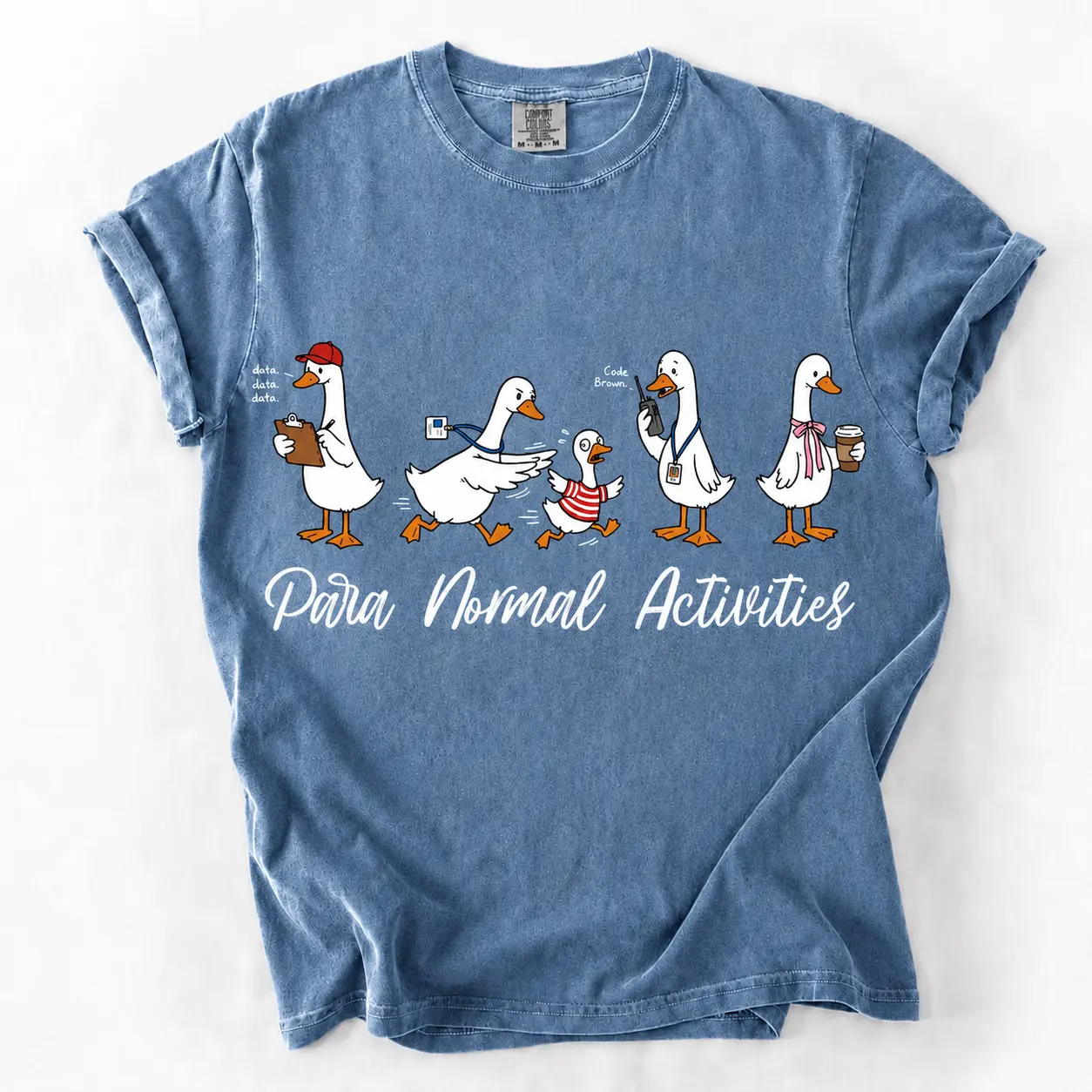 Paraprofessional Silly Goose Comfort Colors Shirt, Para Normal Activities, SpEd RBT Teacher Aide Gift