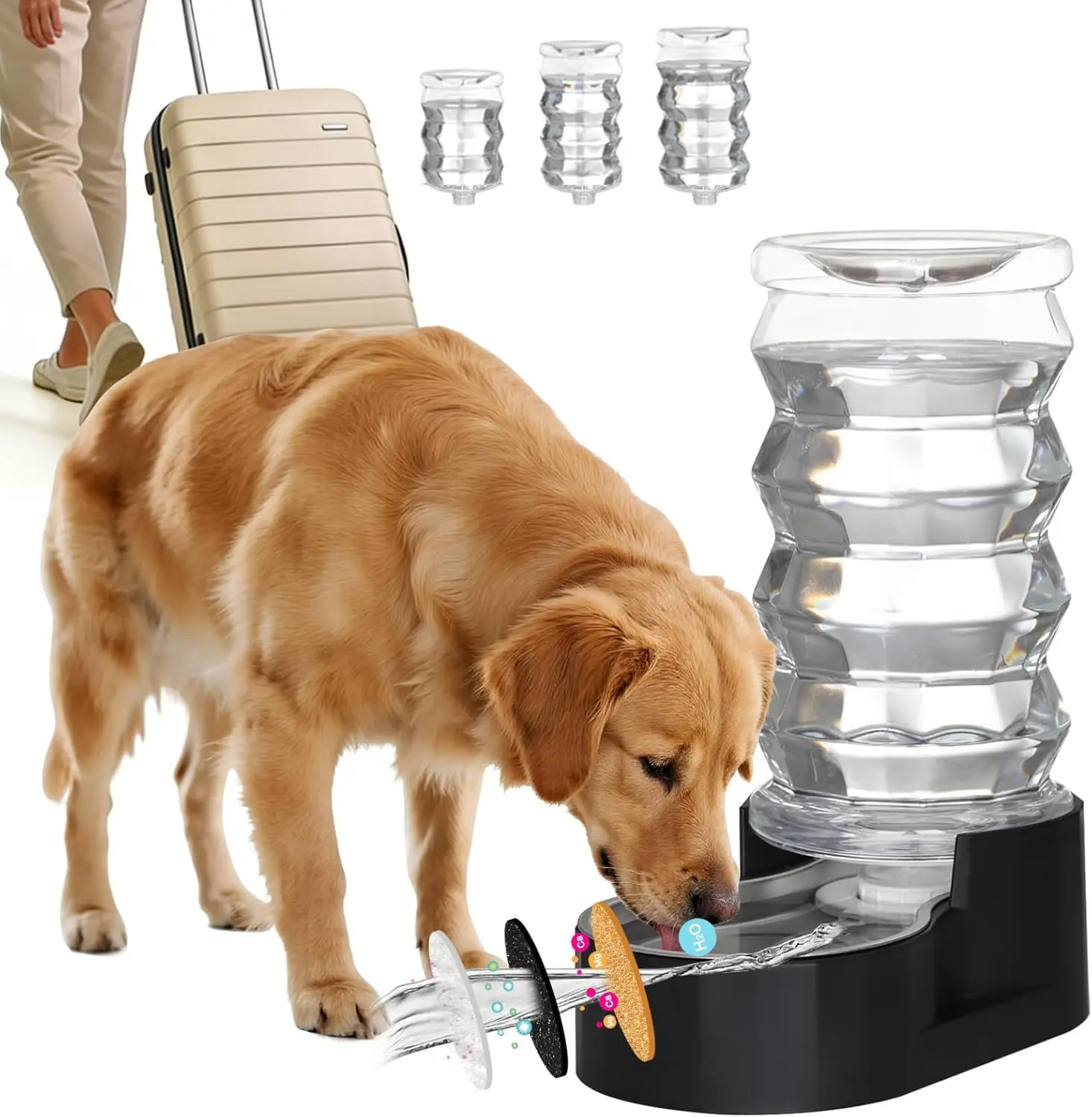 RIZZARI 8L Gravity Dog Water Dispenser: Ion Exchange System with Activated Carbon- Helps Prevent Urinary Stones - Removes Odors - Leakproof -Softens Water- Large Auto-Refill Stainless Steel Pet Waterer