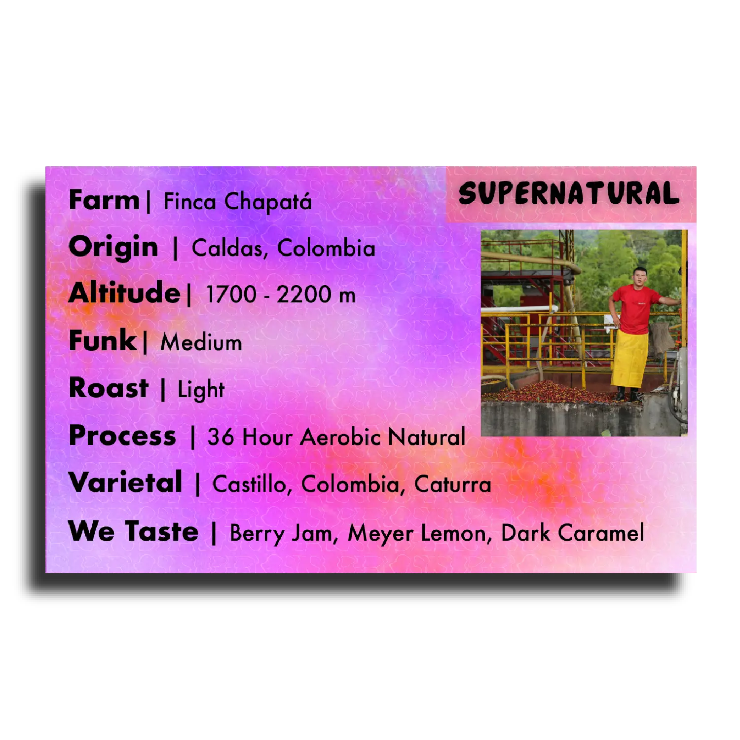 Supernatural (Finca Chapatà - 36 Hour Aerobic Natural)