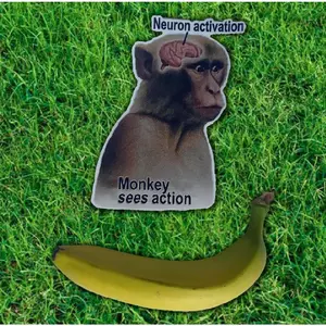 Monkey Neuron Activation Sticker