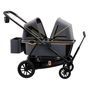 Double Stroller Tandem Stroller for 2 Kids Push Pull Kids Wagon Adjustable Handle Waterproof and Sunproof Canopies Large Removable Storage Baskets