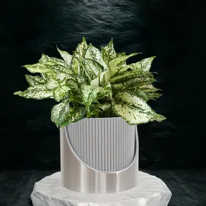 4 Inch Self Watering Planter, Large Indoor Outdoor Plant Pot with Drainage, Terracotta, Green, Beige, Modern Ribbed Design