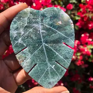 Natural Moss Agate Crystal Leafs
