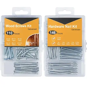 Hanging Nails and  Screws Assorted Kit 256 count - 110  Flat  Screws, 146 Picture Hanging Nails, 6 Sizes Small Screws Assortment With Organizer Box