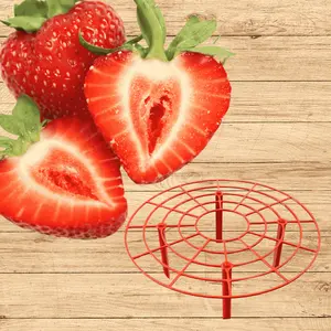 Everbearing Strawberry Plants + Strawberry Supports | Bare Root Strawberries | Continuous Harvest | USA-Made Supports | Hand Picked Nursery