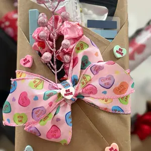 Valentine’s Adult Blind Date with a Book