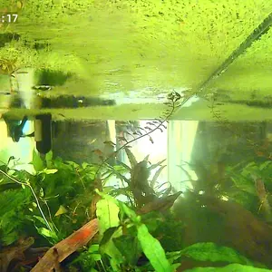 HomiQ Life 3MP 2K Aquarium & Terrarium Pet Camera.Magnetic Install &Close-Focus Lens for Fish,Lizard, Reptile Pet and Window Bird Feeder,2.4GHz & 5GHz WiFi,Color Night Vision,Auto-focus,24/7 Recording