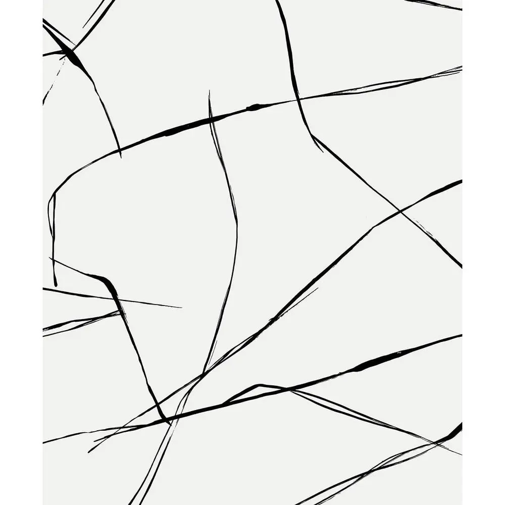 NextWall Ebony Inkwork Abstract Premium Peel and Stick Wallpaper